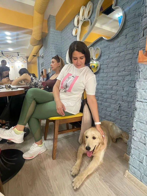 Bakıda itlər üçün kafe açıldı