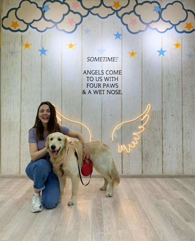 Bakıda itlər üçün kafe açıldı