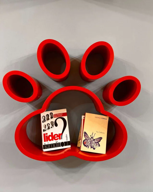 Bakıda itlər üçün kafe açıldı