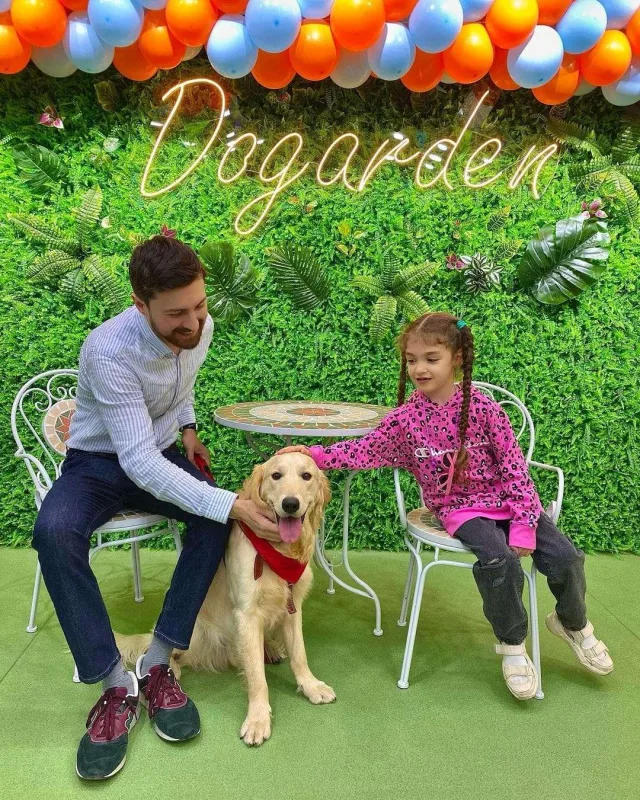 Bakıda itlər üçün kafe açıldı