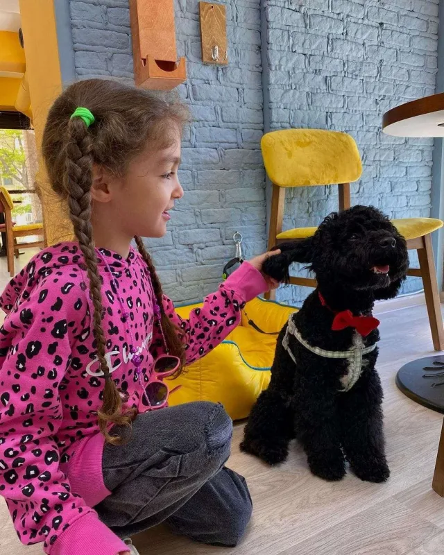 Bakıda itlər üçün kafe açıldı