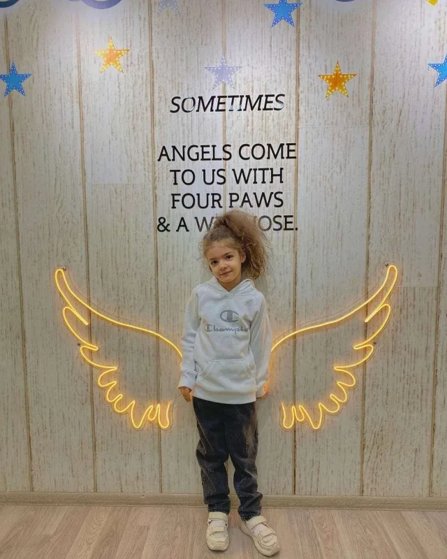 Bakıda itlər üçün kafe açıldı