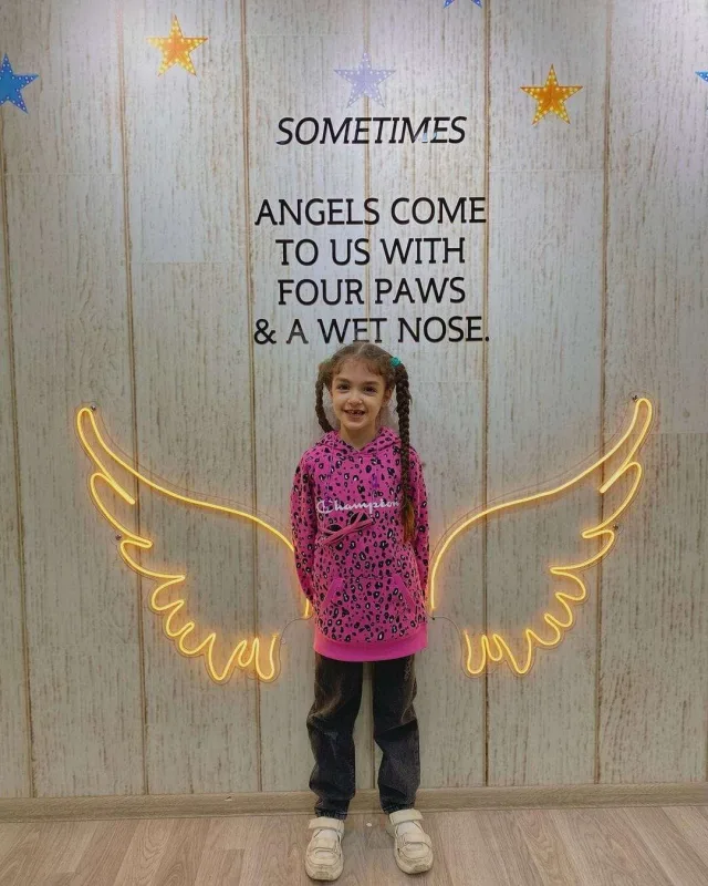 Bakıda itlər üçün kafe açıldı