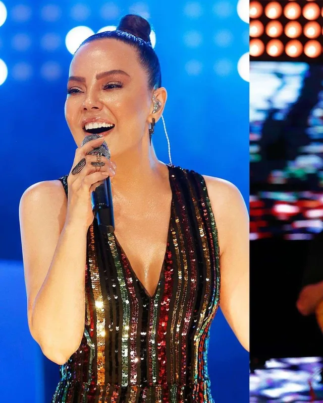 Ebru bir konsertdən bu qədər qazanır