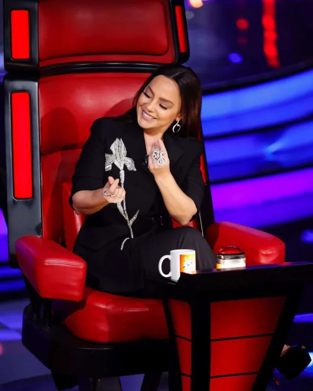 Ebru bir konsertdən bu qədər qazanır