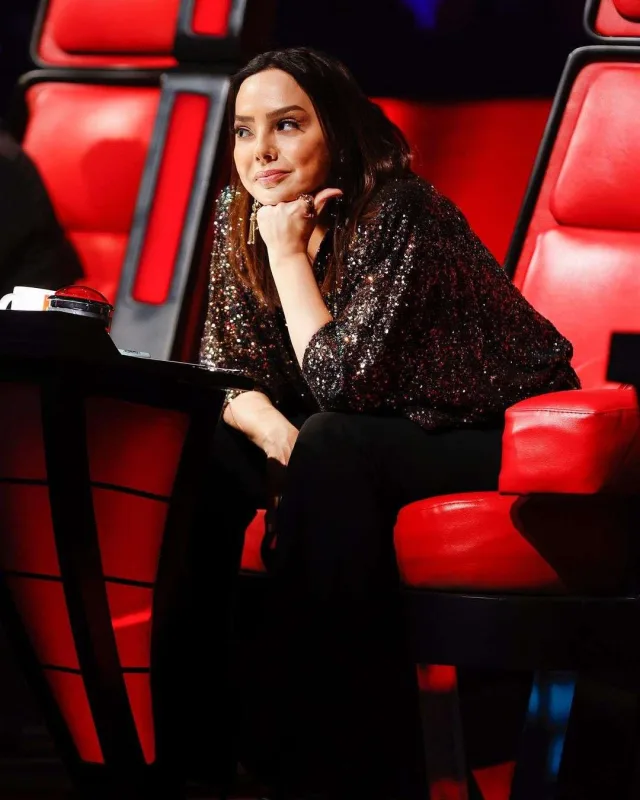 Ebru bir konsertdən bu qədər qazanır