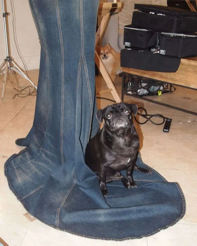 Britninin illər əvvəlki “look”unu təkrarladı