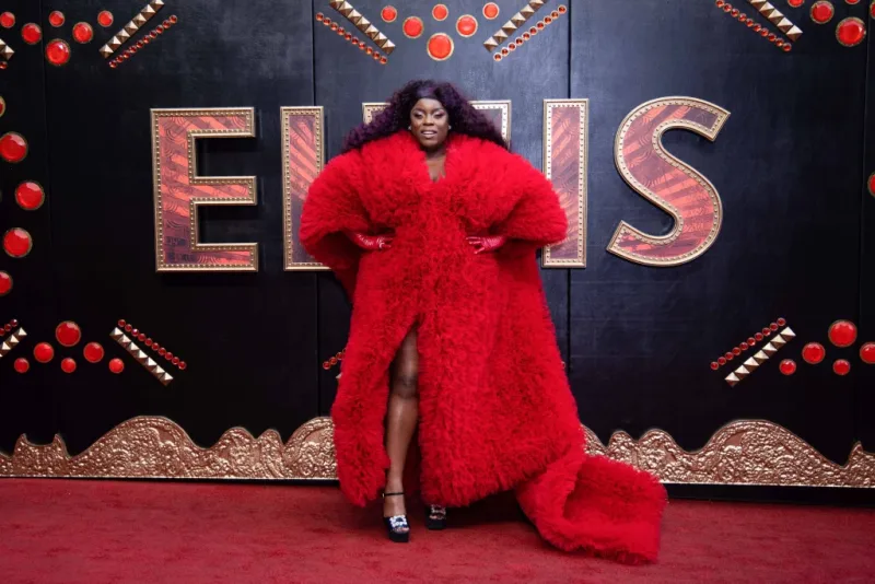 “Elvis”in qalasında yaşananlar