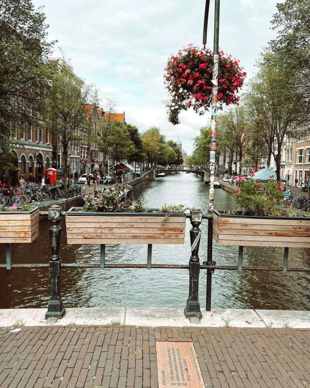 Samirə bu dəfə Niderlandda