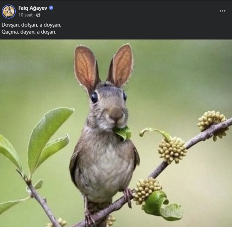 Faiq Ağayev “dovşan” qalmaqalına qoşuldu
