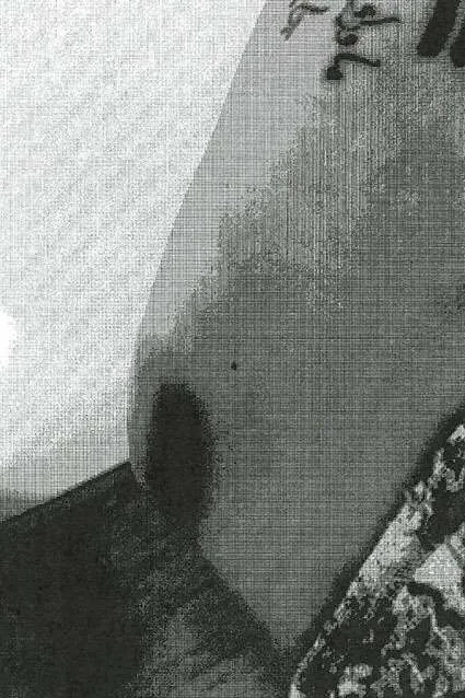 Bredin Colini döydüyü görüntülər yayıldı