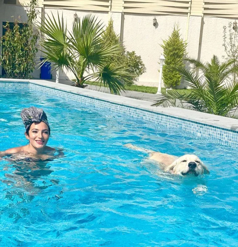 “Heyvanları pul verib almayın”