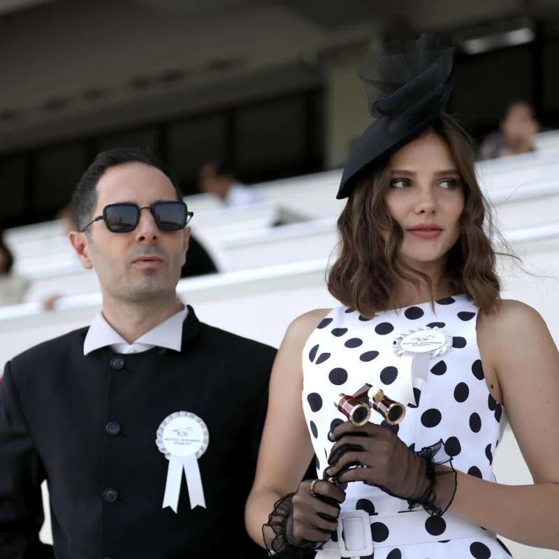 Alinanın serialı final edir