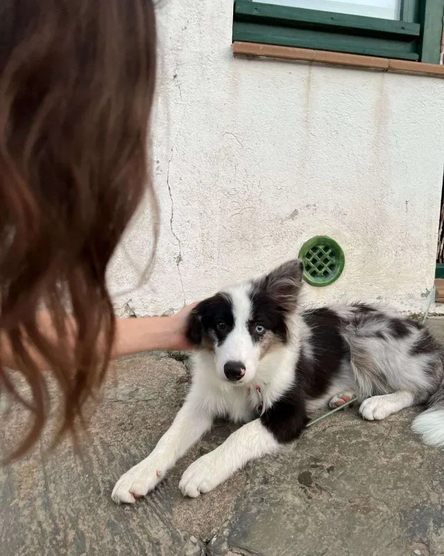 “Tokio” tətildə!