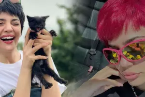 Hiss dəyişməkdən doymur