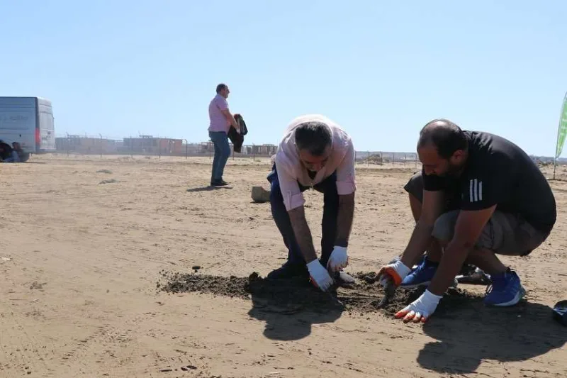 Əməkdar artistlər dəniz kənarını təmizlədi