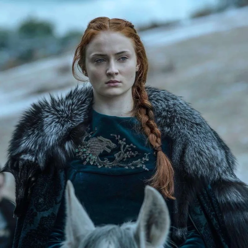 “Con snou”dan bəhs edən serial çəkilir