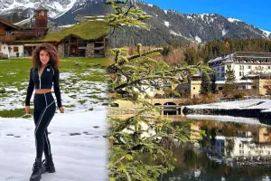 Mehinin Avstriya tətili...