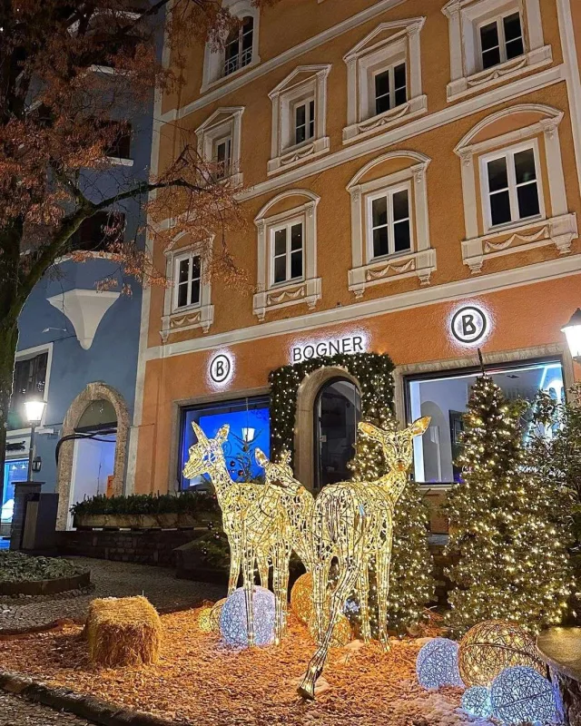 Mehinin Avstriya tətili...