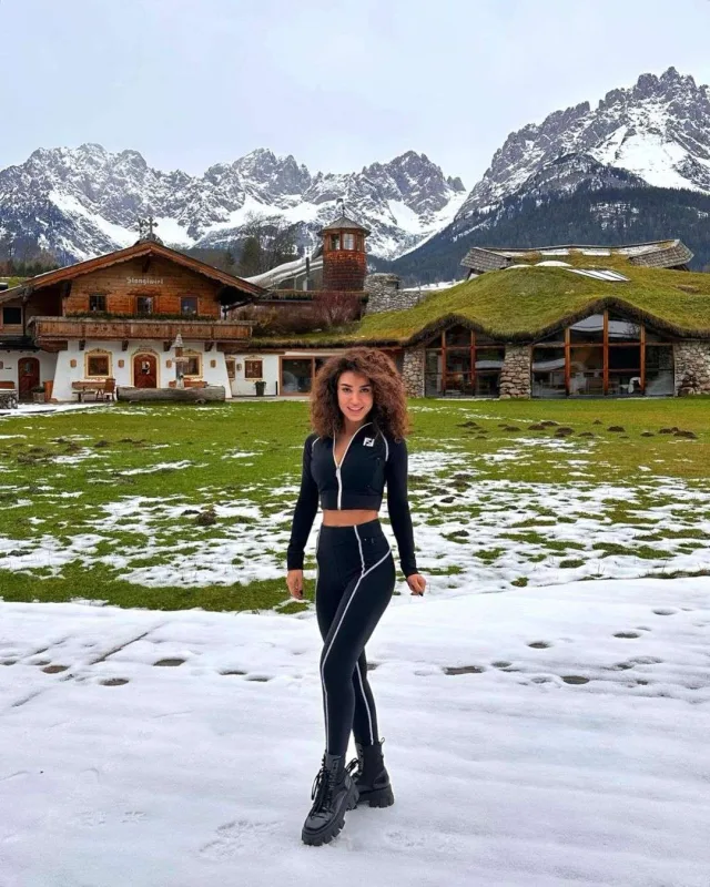 Mehinin Avstriya tətili...