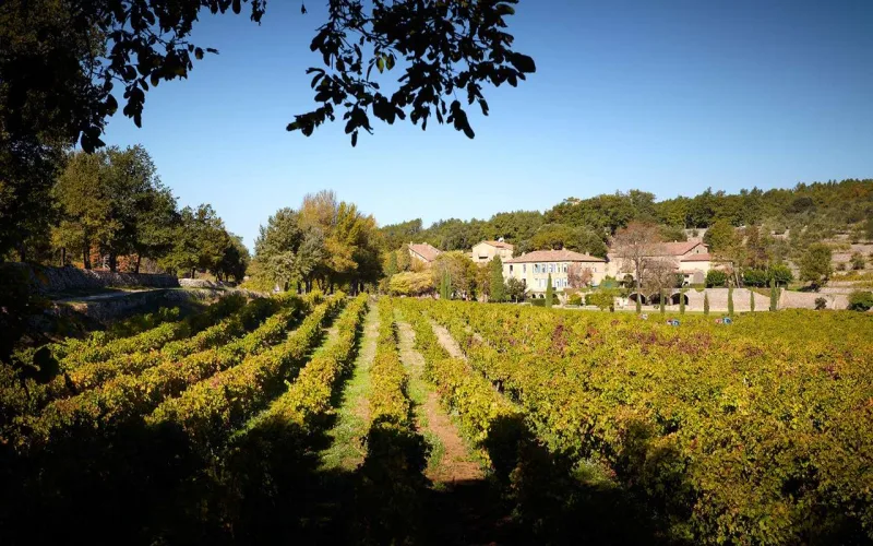 Malikanəsindən xəzinə axtarıbmış