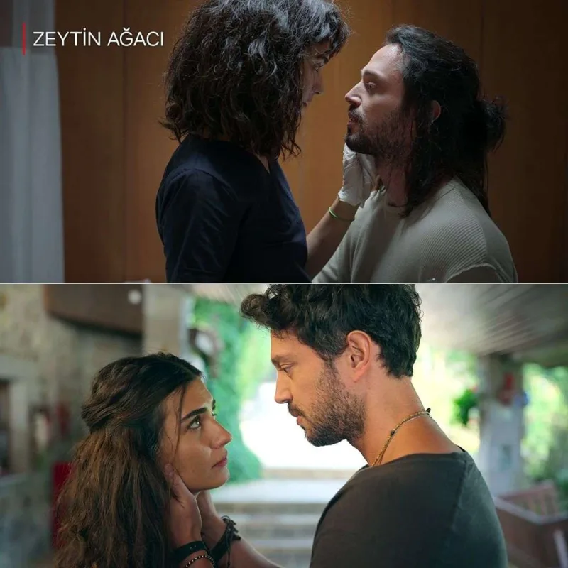 “Zeytin ağacı”ndan daha bir rekord