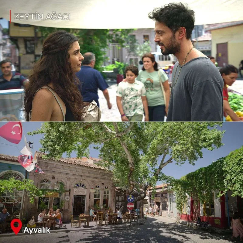 “Zeytin ağacı”ndan daha bir rekord