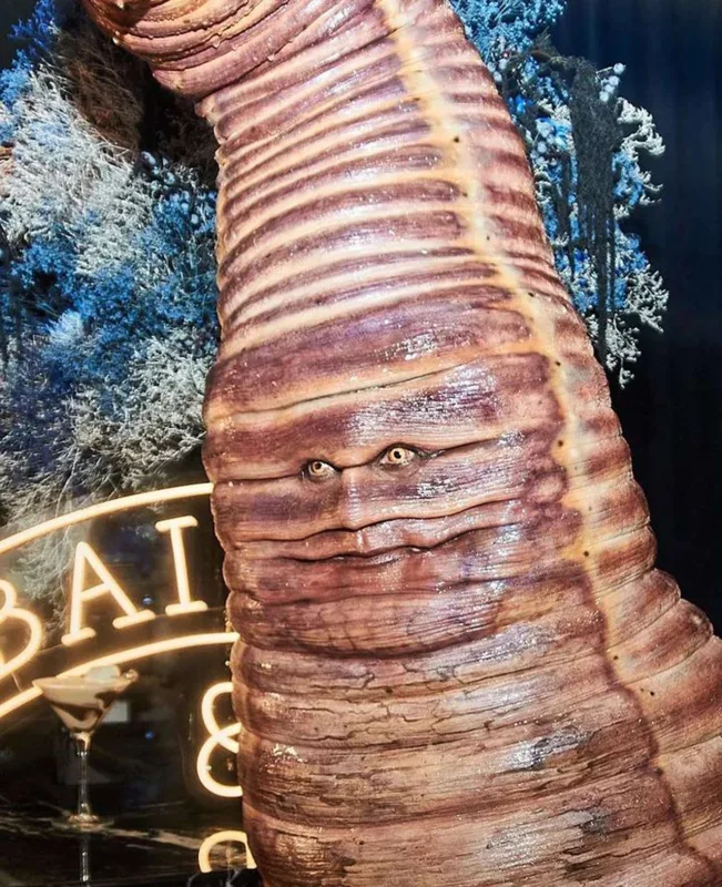 Bu kostyumu iki ilə hazırladıbmış…