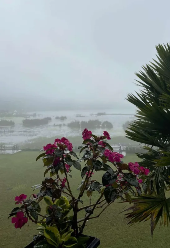 Çingiz İndoneziyada belə yaşayır