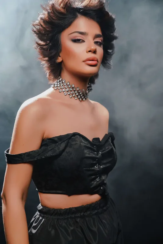 Bu dəfə mahnısını özü yazdı