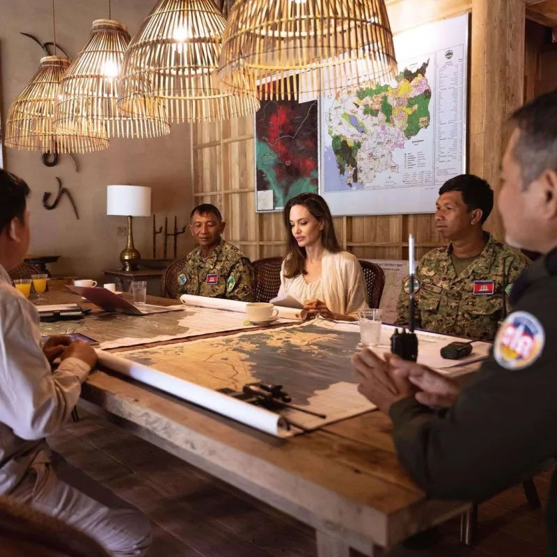 Ancelina BMT-dəki vəzifəsindən ayrıldı