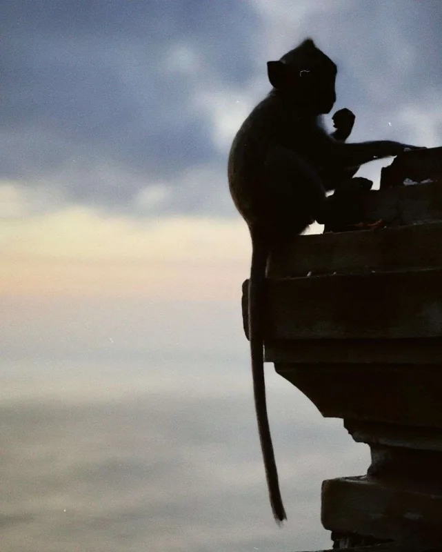 Əlixanın Bali tətili