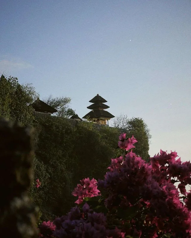 Əlixanın Bali tətili