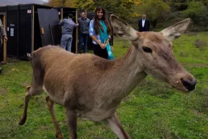 Leyla Əliyeva Şahdağ Milli Parkında - Fotolar