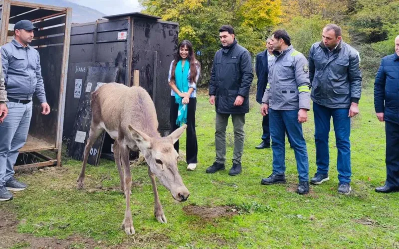 Leyla Əliyeva Şahdağ Milli Parkında - Fotolar