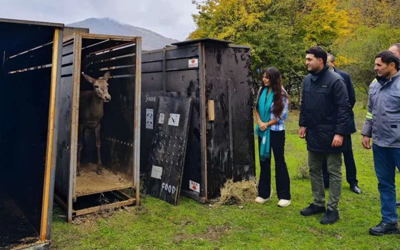 Leyla Əliyeva Şahdağ Milli Parkında - Fotolar