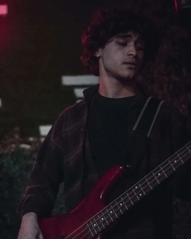 LP-nin ön səhnəsində yerli ifaçılar olacaq