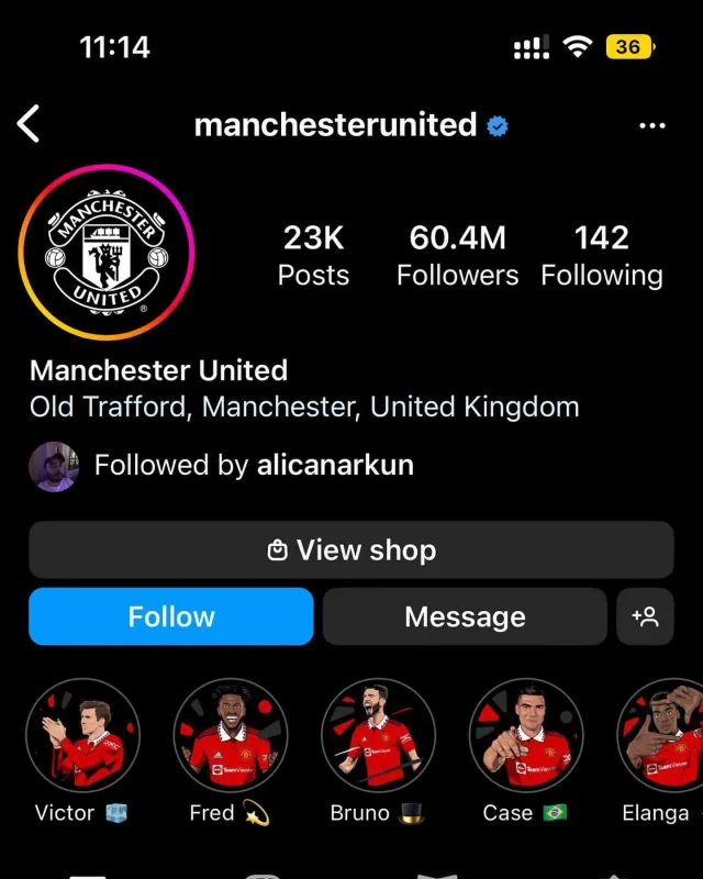 Brendlər kraliçaya görə “qaraya büründü”