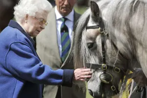 Kraliçanın sevimli atı öldü
