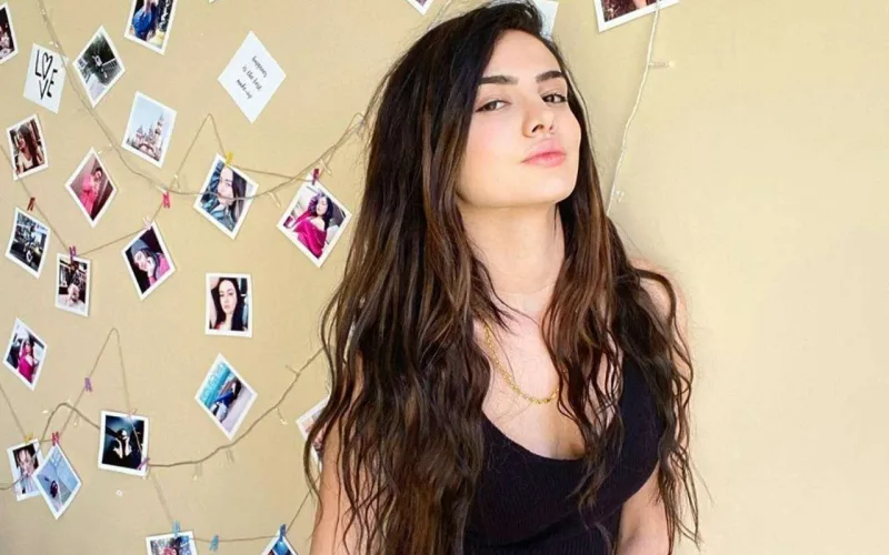 Yenidən məhkəməlik oldular