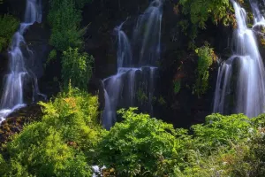 Laçının sonsuz gözəlliyi...