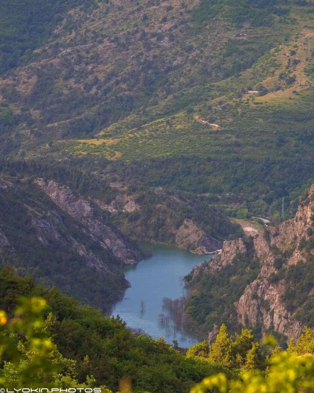 Laçının sonsuz gözəlliyi...