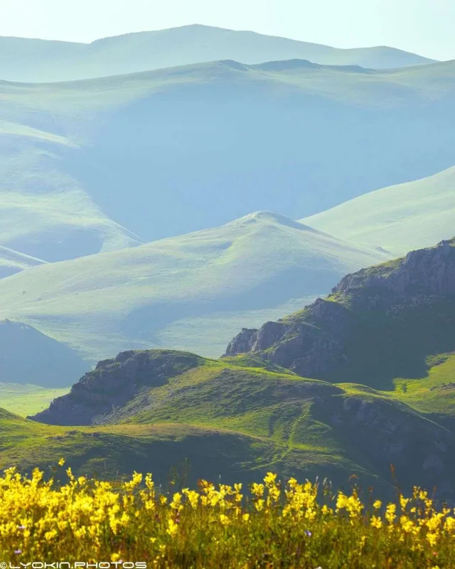 Laçının sonsuz gözəlliyi...