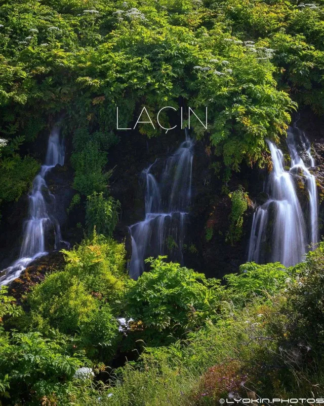 Laçının sonsuz gözəlliyi...