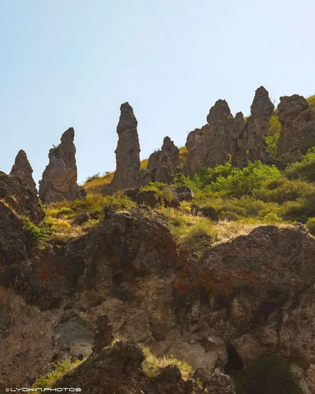 Laçının sonsuz gözəlliyi...