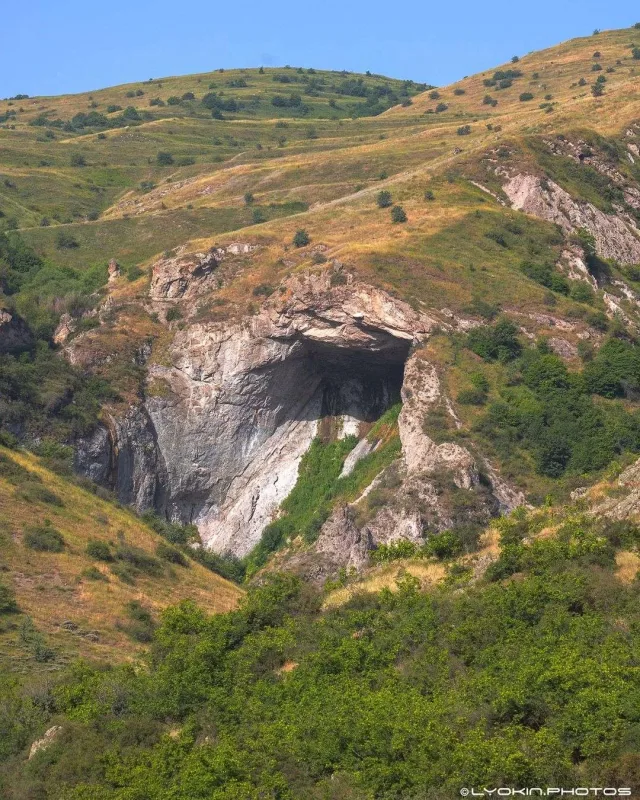 Laçının sonsuz gözəlliyi...