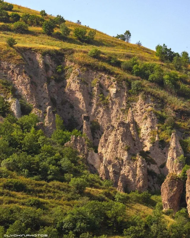 Laçının sonsuz gözəlliyi...