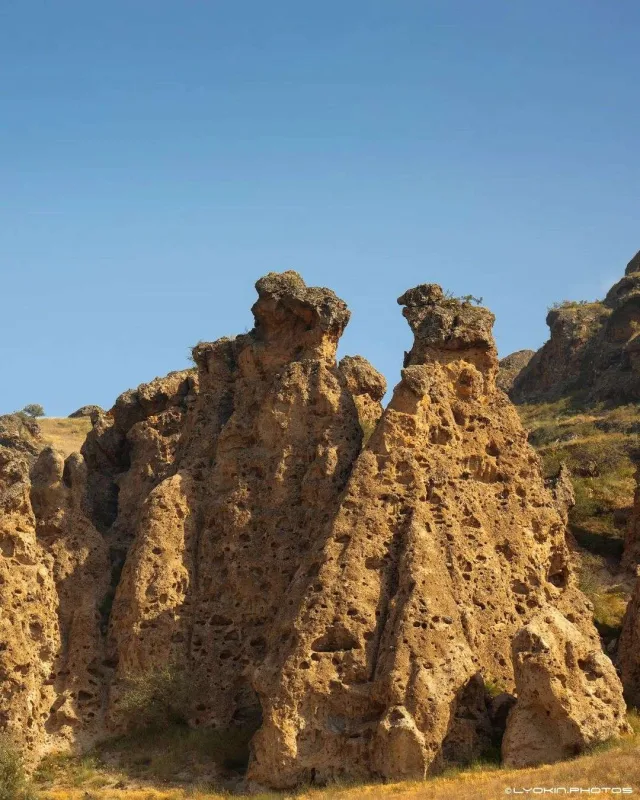 Laçının sonsuz gözəlliyi...