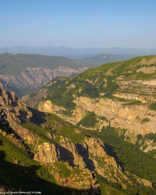 Laçının sonsuz gözəlliyi...