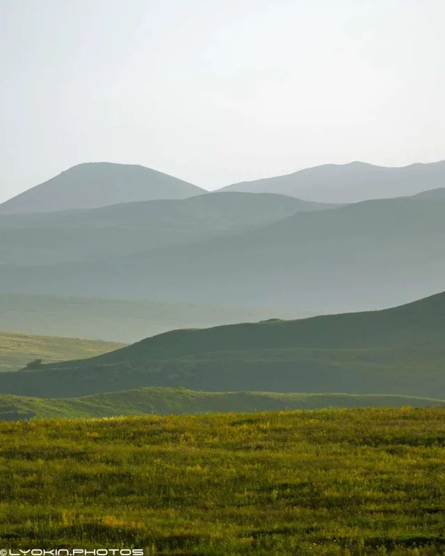Laçının sonsuz gözəlliyi...